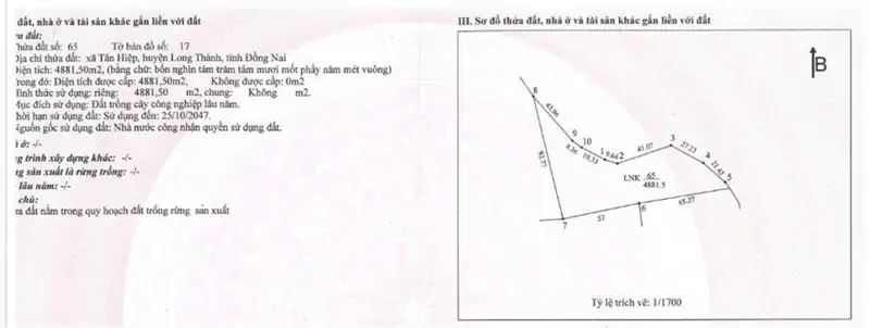 Cơ Hội Đầu Tư Sinh Lời - Chính Chủ Cần Bán Đất Tại Xã Tân Hiệp, Long Thành, Đồng Nai