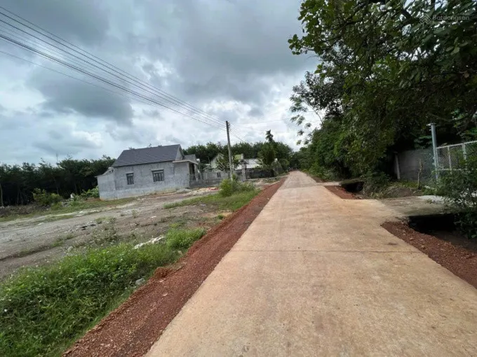 Chính Chủ Bán 150M2 Đất Sẵn Sổ Mặt Tiền Đường Nhựa Tại Đồng Phú