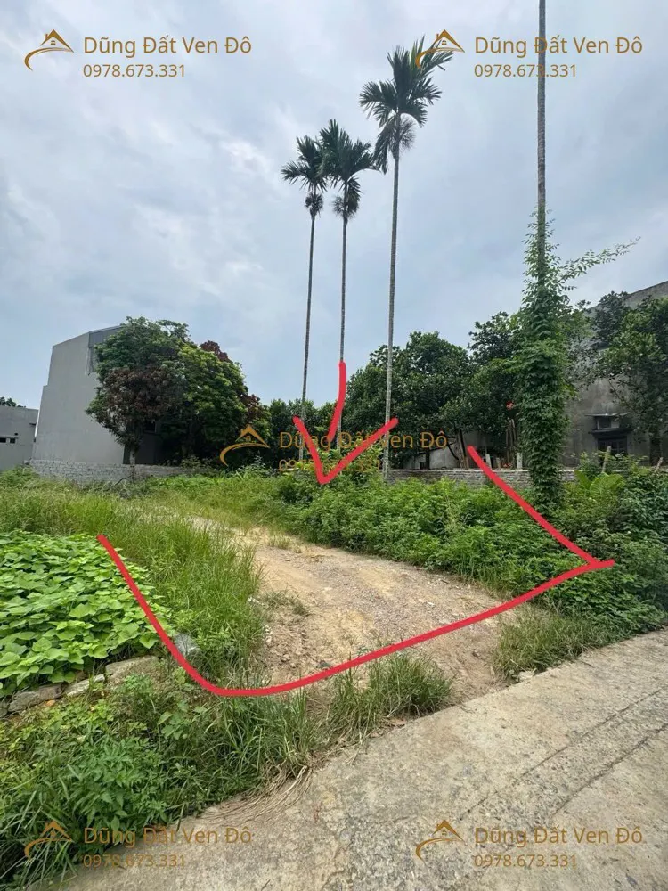 156M Xuân Thủy-Thủy Xuân Tiên-Chương Mỹ-Hà Nội