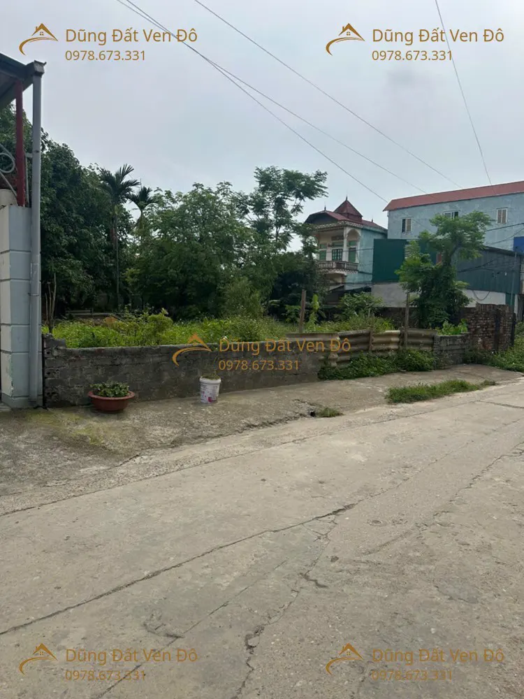 203M Phú Nghĩa-Chương Mỹ-Hà Nội
