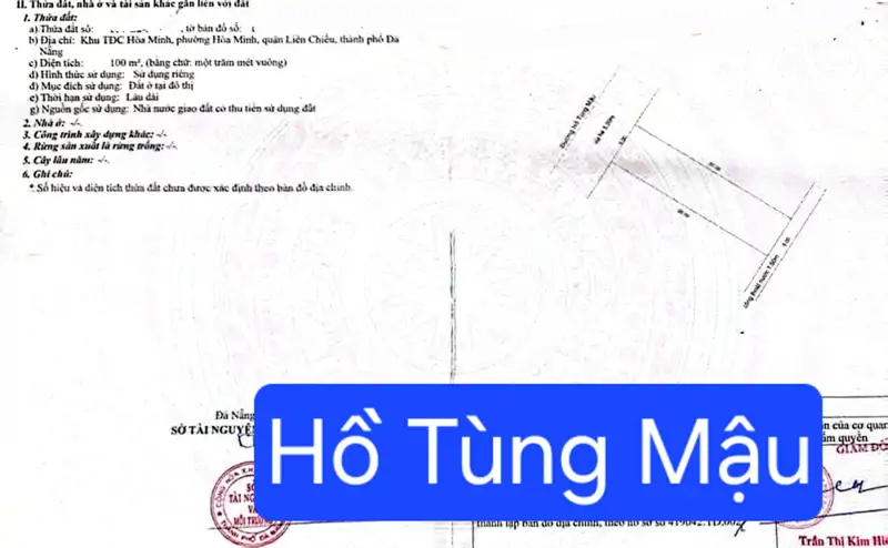 Bán Đất Trục Đường Kinh Doanh Đường 10,5M Hồ Tùng Mậu - ảnh 1