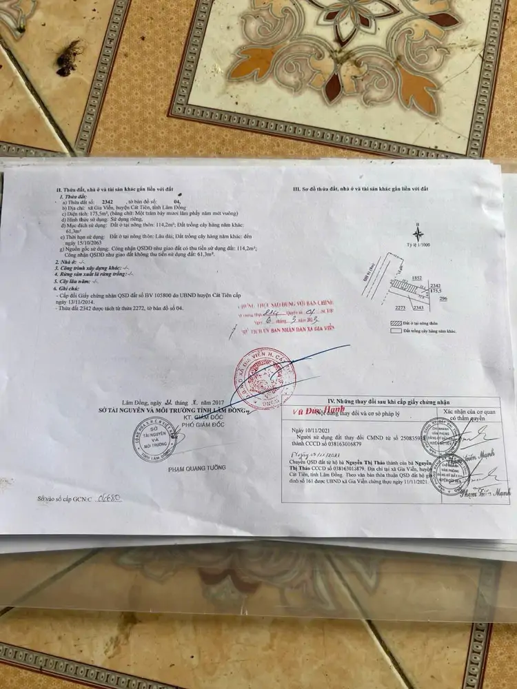 Bán Nhà Đất Xã Gia Viễn, Cát Tiên, Lâm Đồng – Giá Chỉ 820 Triệu