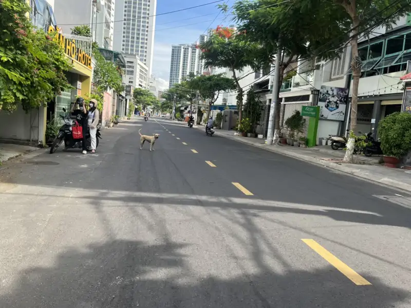 Nhà Mặt Tiền Dương Hiến Quyền, Nha Trang, 206M2 Ngang Hơn 7M Gần Biển Rất Đẹp - ảnh 1