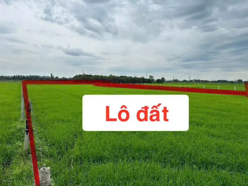 Ngộp Cắt Lỗ! 6.000M² Đất Củ Chi Chỉ 1 Triệu/m² – Giá Chốt 6 Tỷ