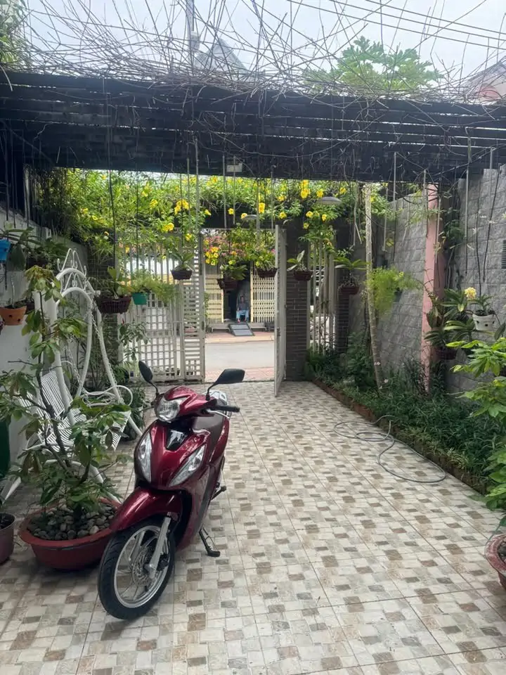Mặt Tiền Mai Hắc Đế – Nhà Đẹp Đón Lộc, Kinh Doanh Hanh Thông