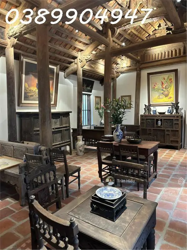Cho Thuê Nhà Vườn Phố Cổ Mặt Tiền Đường Mạc Đỉnh Chi Khu Bàn Cờ Trung Tâm Nha Trang – Diện Tích Đất