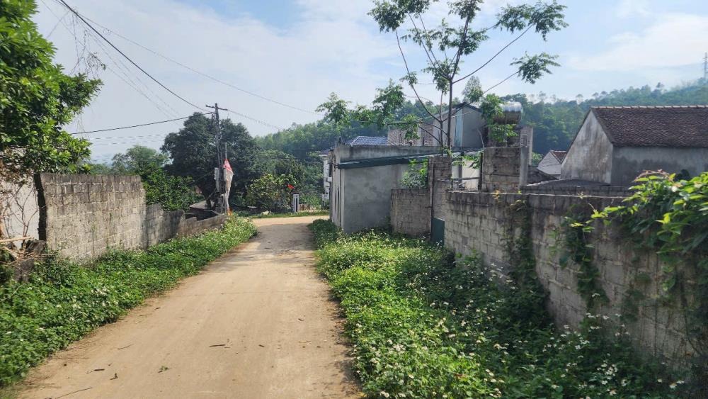 Bán Gấp Đất Nền 570m2 Nam Phương Tiến, Chương Mỹ - Giá 4 Tỷ
