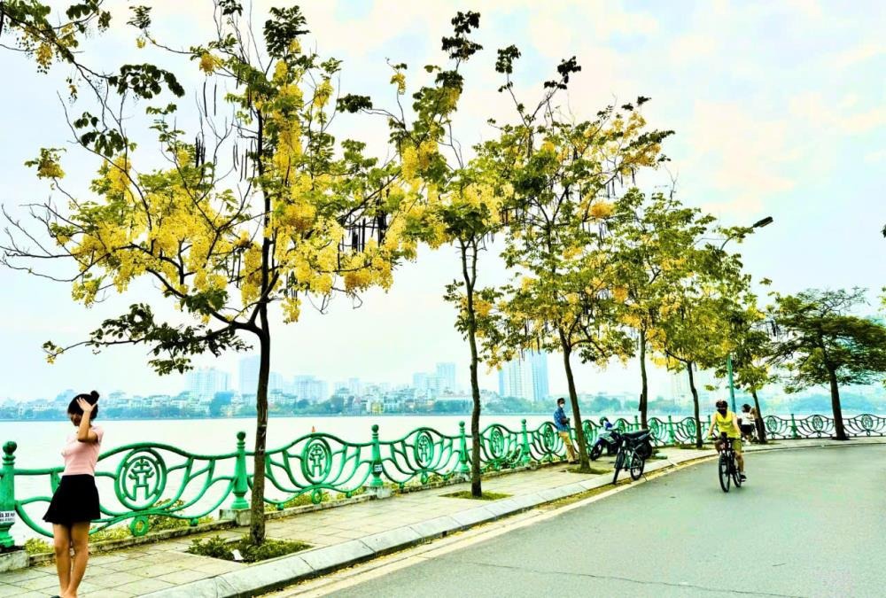 Siêu Hiếm Mặt Hồ Tây - Biệt Thự 7 Tầng, Giá 32 Tỷ