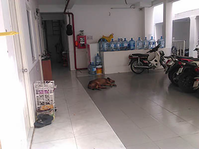 Cho Thuê Phòng Giá Rẻ, An Toàn PCCC Quận Tân Bình - 2.9tr/tháng