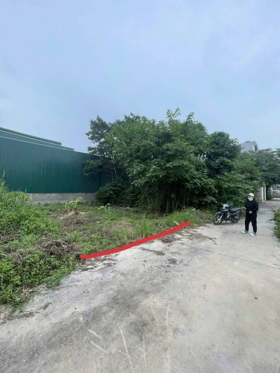 Đấu Giá Lô Đất Cực Hiếm Cự Khê - Đầu Tư Vàng, Tiềm Năng Phát Triển