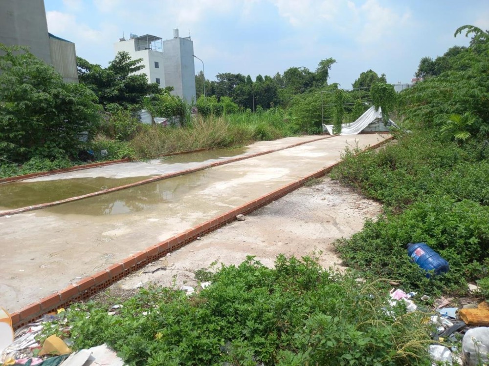 Đất nền MT nở hậu Quận 12 - 124m2 - Giá 9.x tỷ - SHR