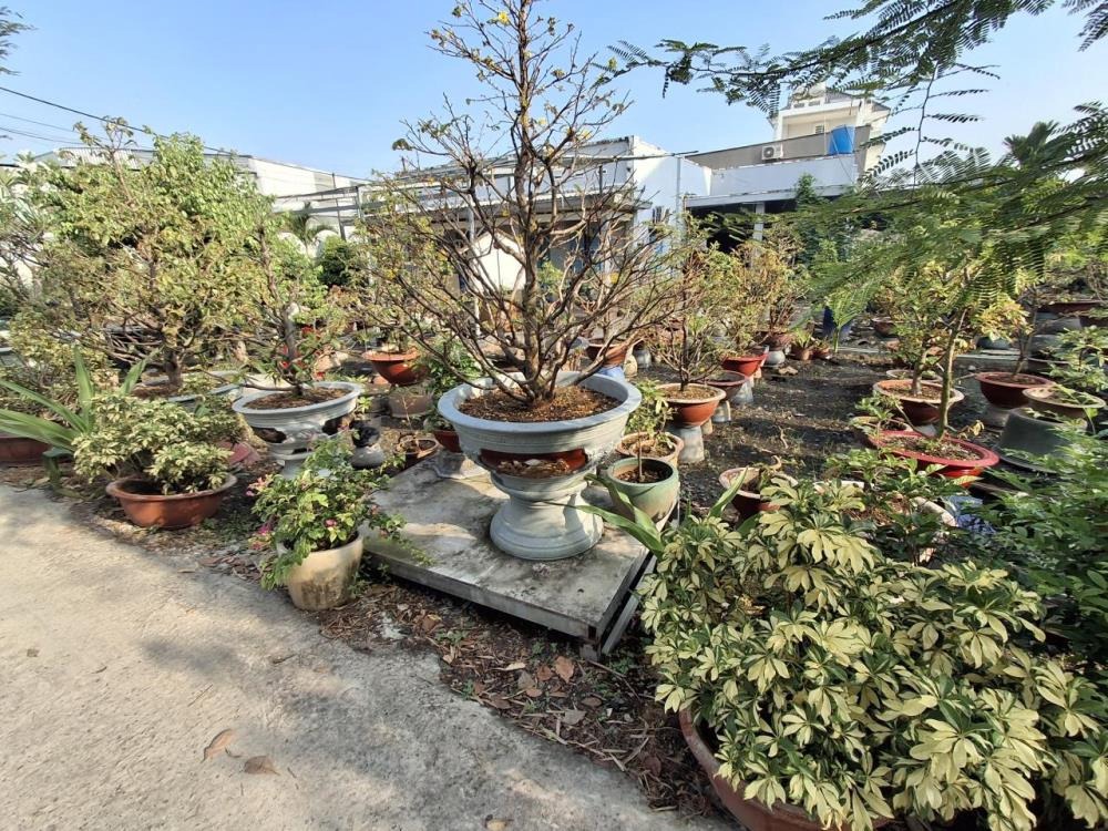 Đất Lô Góc Vườn Lài Quận 12: 344m2, 16x22m, Giá 1x Tỷ - SHR