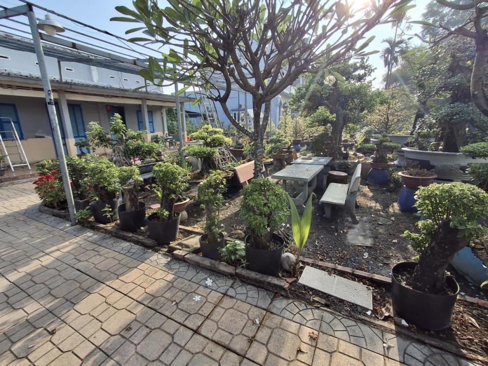 Đất Lô Góc Vườn Lài Quận 12: 344m2, 16x22m, Giá 1x Tỷ - SHR