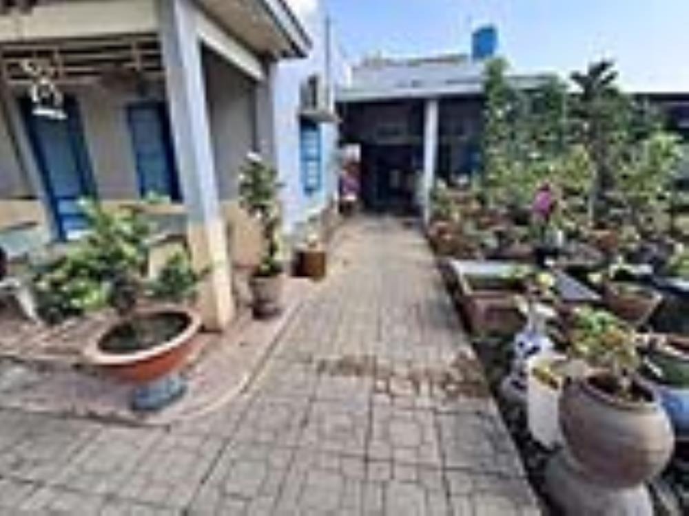 Đất Lô Góc Vườn Lài Quận 12: 344m2, 16x22m, Giá 1x Tỷ - SHR