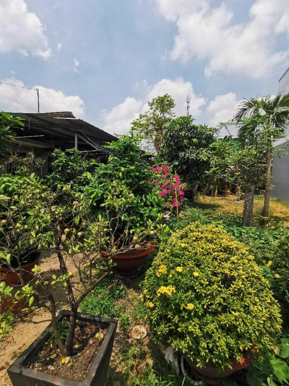 Đất Nở Hậu Nguyễn Văn Bứa: 164m2, 6x27m, Giá 4.8 Tỷ