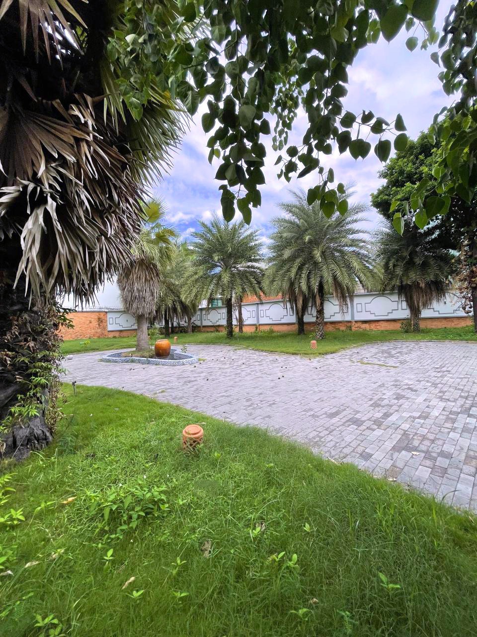 🔥 Giảm Giá Sốc 16 Tỷ Nhà Gỗ Củ Chi 1266m2 - Vị Trí Đắc Địa