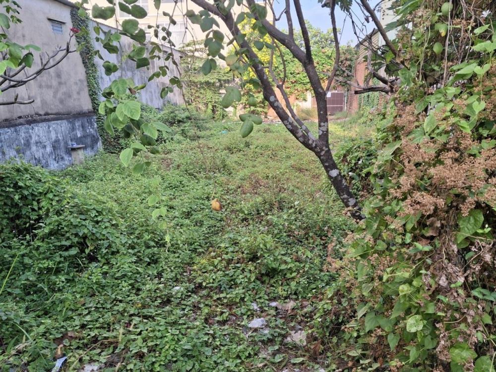 Đất Vườn Lài Q12: 262m2, Ngang 10m, Giá 1x Tỷ - SHR