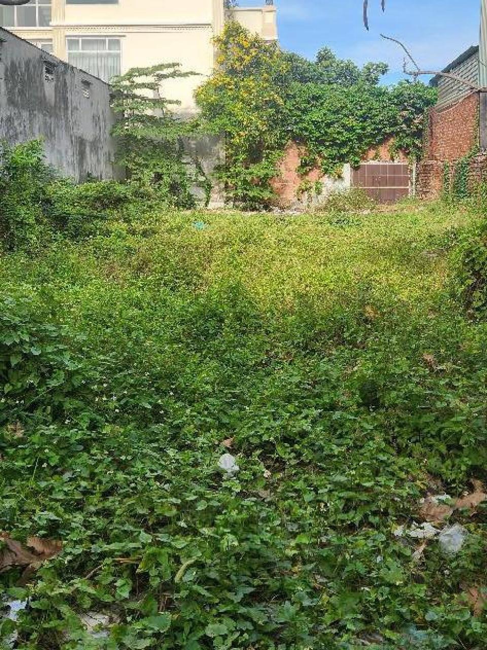 Đất Vườn Lài Q12: 262m2, Ngang 10m, Giá 1x Tỷ - SHR