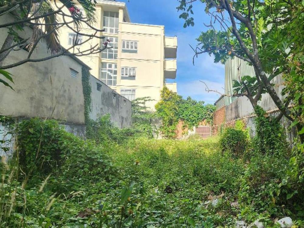 Đất Vườn Lài Q12: 262m2, Ngang 10m, Giá 1x Tỷ - SHR