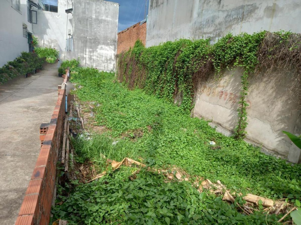 Đất An Phú Đông, Quận 12: 111m2, Giá 4.x Tỷ - Vị Trí Đắc Địa