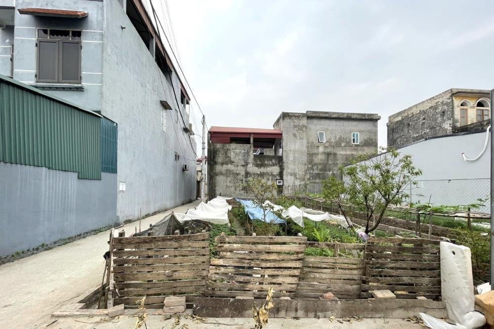 Bán Lô Góc Đất Vàng 116m2 Mặt Tiền Rộng Tại Đình Trung, Xuân Nộn