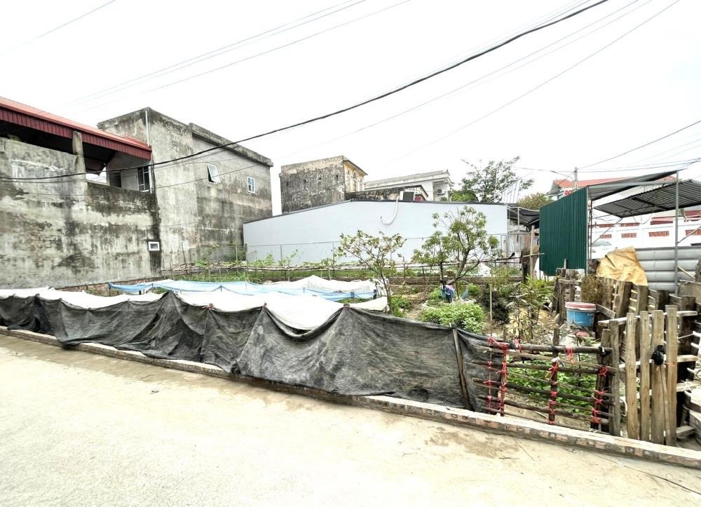 Bán Lô Góc Đất Vàng 116m2 Mặt Tiền Rộng Tại Đình Trung, Xuân Nộn