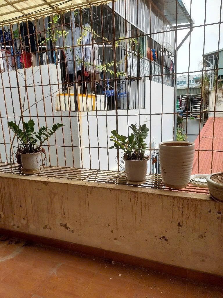 Ngọc Khánh Ba Đình: Vị trí Vàng, Giao Thông Thuận Tiện, Kinh Doanh Đắt Lợi