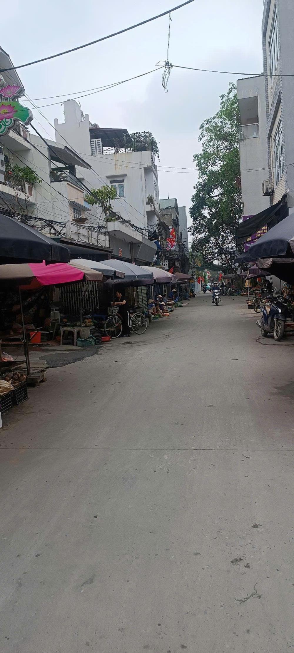 Bán Lô Góc 44m2 Ngõ Ô Tô Cổ Dương, Tiên Dương - Giá Tốt