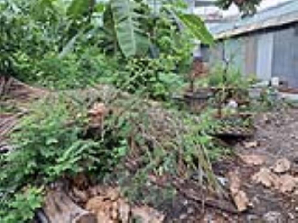 🔥Đất vuông 189m² Gò Dưa, TĐ 4.x tỷ - Vị trí đẹp, SHR