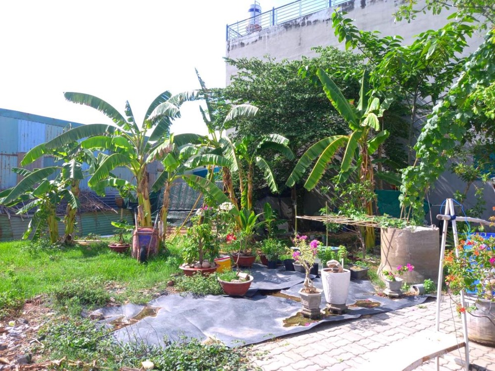 🔥 Giảm 400 Triệu - Đất Nở Hậu Ecotown Nguyễn Văn Bứa - 156m2 - Chỉ 2.x Tỷ