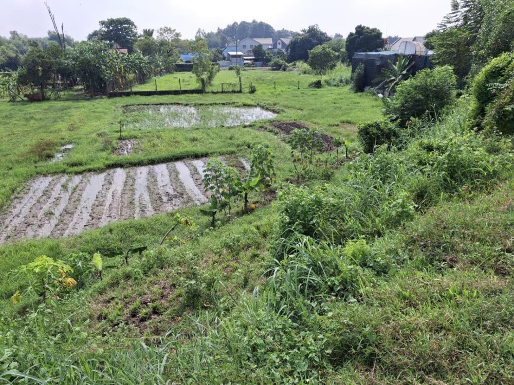 Đất Nền Củ Chi View Kênh - Giá Rẻ, Pháp Lý Rõ - 5.5 Tỷ