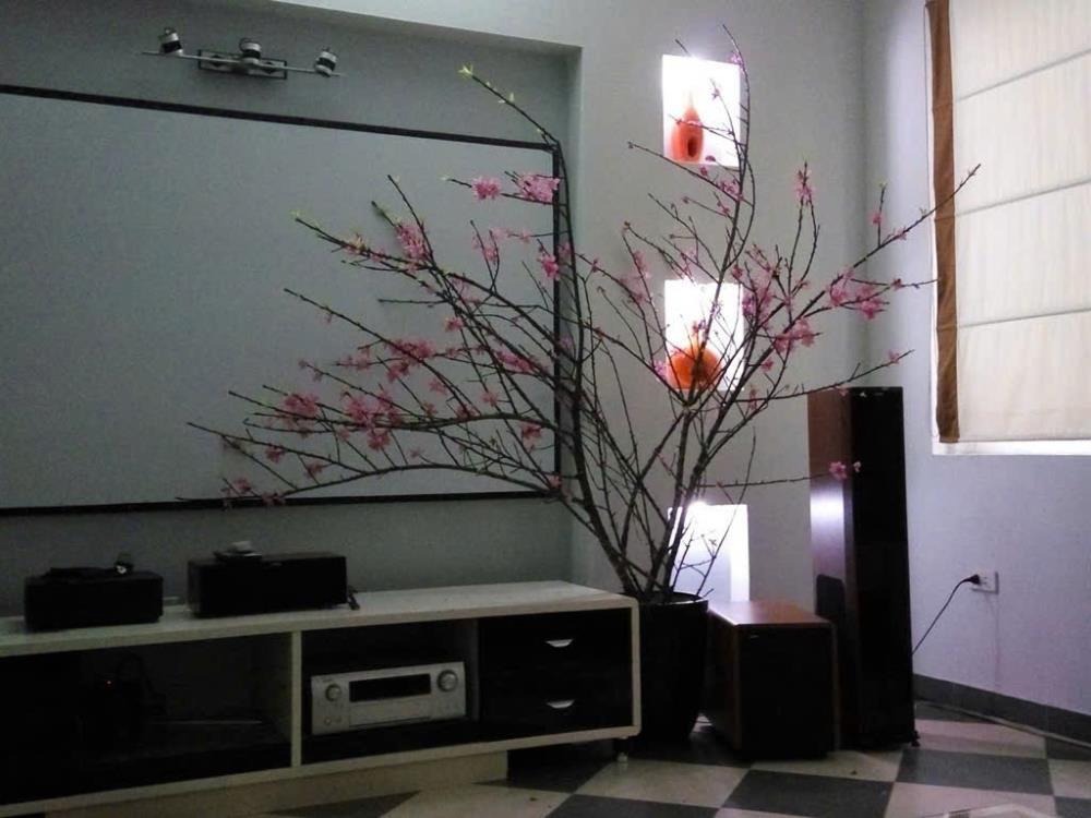 Phân Lô Ô Tô Tây Hồ: Vị Trí Đắc Địa, Tiện Ích Vượt Trội | Giá 10.8 Tỷ