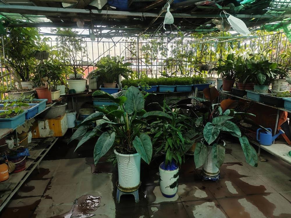 Bán nhà Hoàng Tăng Bí, Tân Phong 4 tầng, có ô chờ thang máy - Giá 9 tỷ+