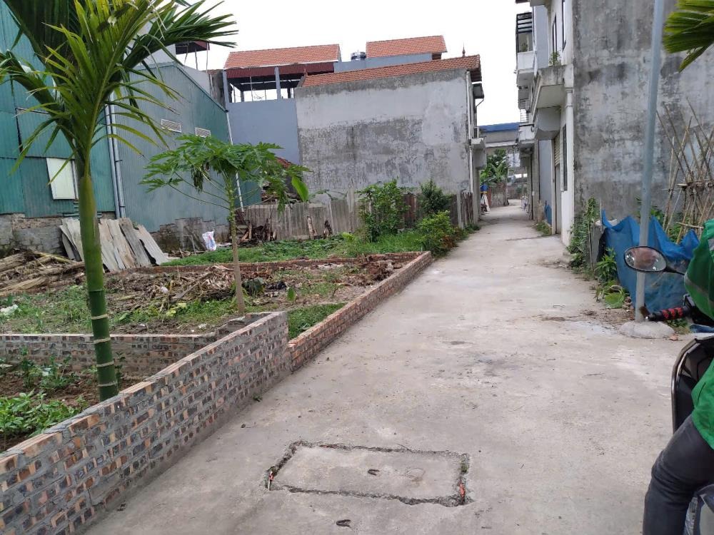 Bán Đất Thôn 3 Vạn Phúc, Thanh Trì - 58m² Mặt Tiền Rộng, Ô Tô Vào Tận Nơi - Giá Tốt