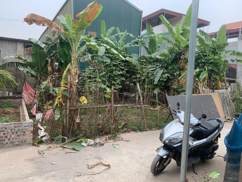 Bán Đất Thôn 3 Vạn Phúc, Thanh Trì - 58m² Mặt Tiền Rộng, Ô Tô Vào Tận Nơi - Giá Tốt