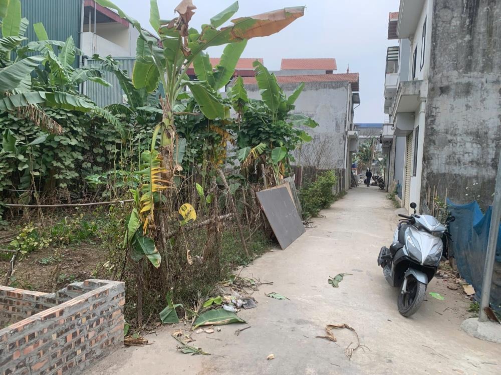 Bán Đất Thôn 3 Vạn Phúc, Thanh Trì - 58m² Mặt Tiền Rộng, Ô Tô Vào Tận Nơi - Giá Tốt