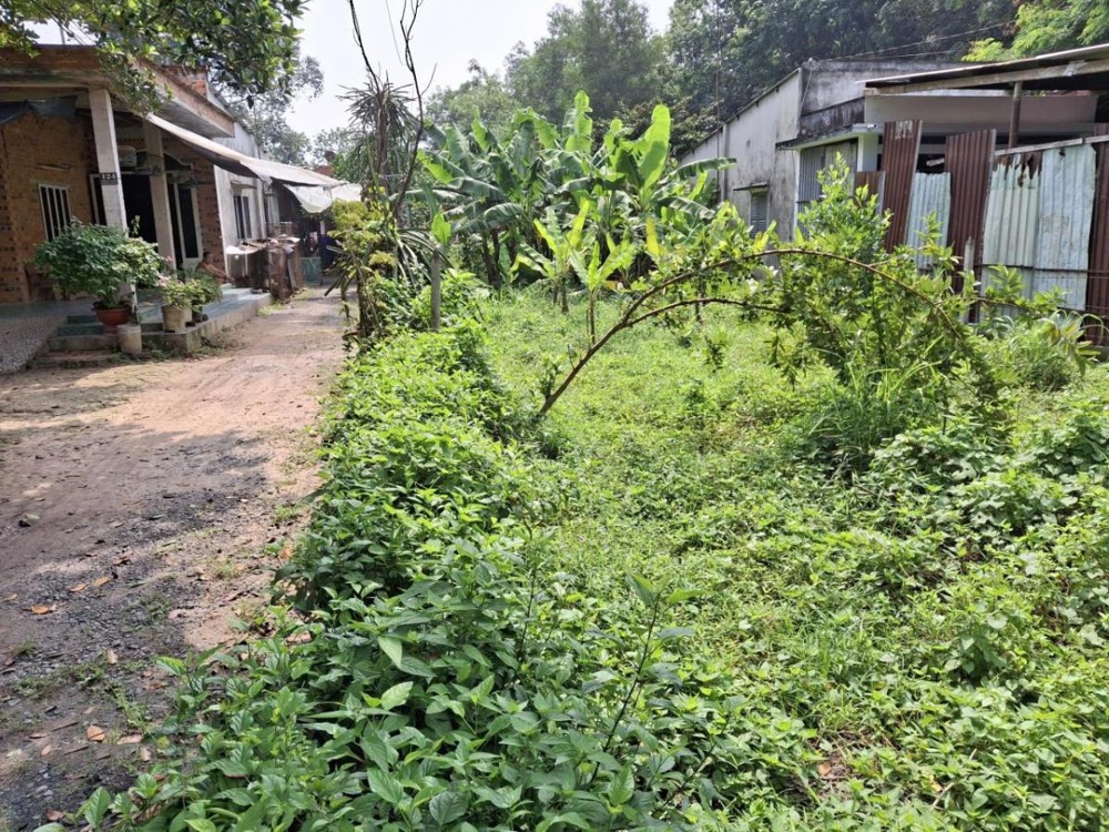 🔥 Bán đất nền Củ Chi - Bà Thiên, 673m2, Mặt tiền 8m - Giảm 400 triệu!