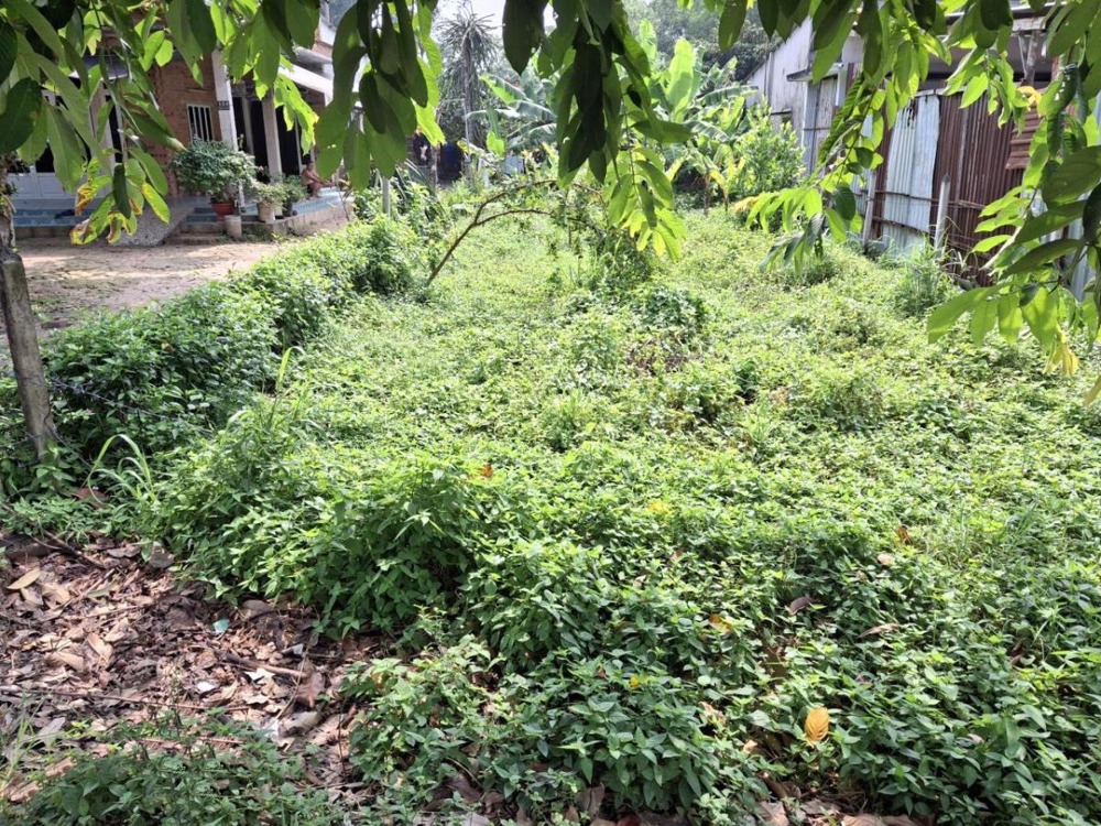 🔥 Bán đất nền Củ Chi - Bà Thiên, 673m2, Mặt tiền 8m - Giảm 400 triệu!
