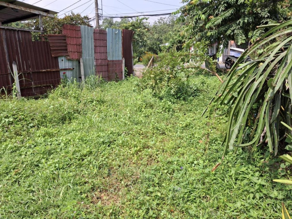 🔥 Bán đất nền Củ Chi - Bà Thiên, 673m2, Mặt tiền 8m - Giảm 400 triệu!