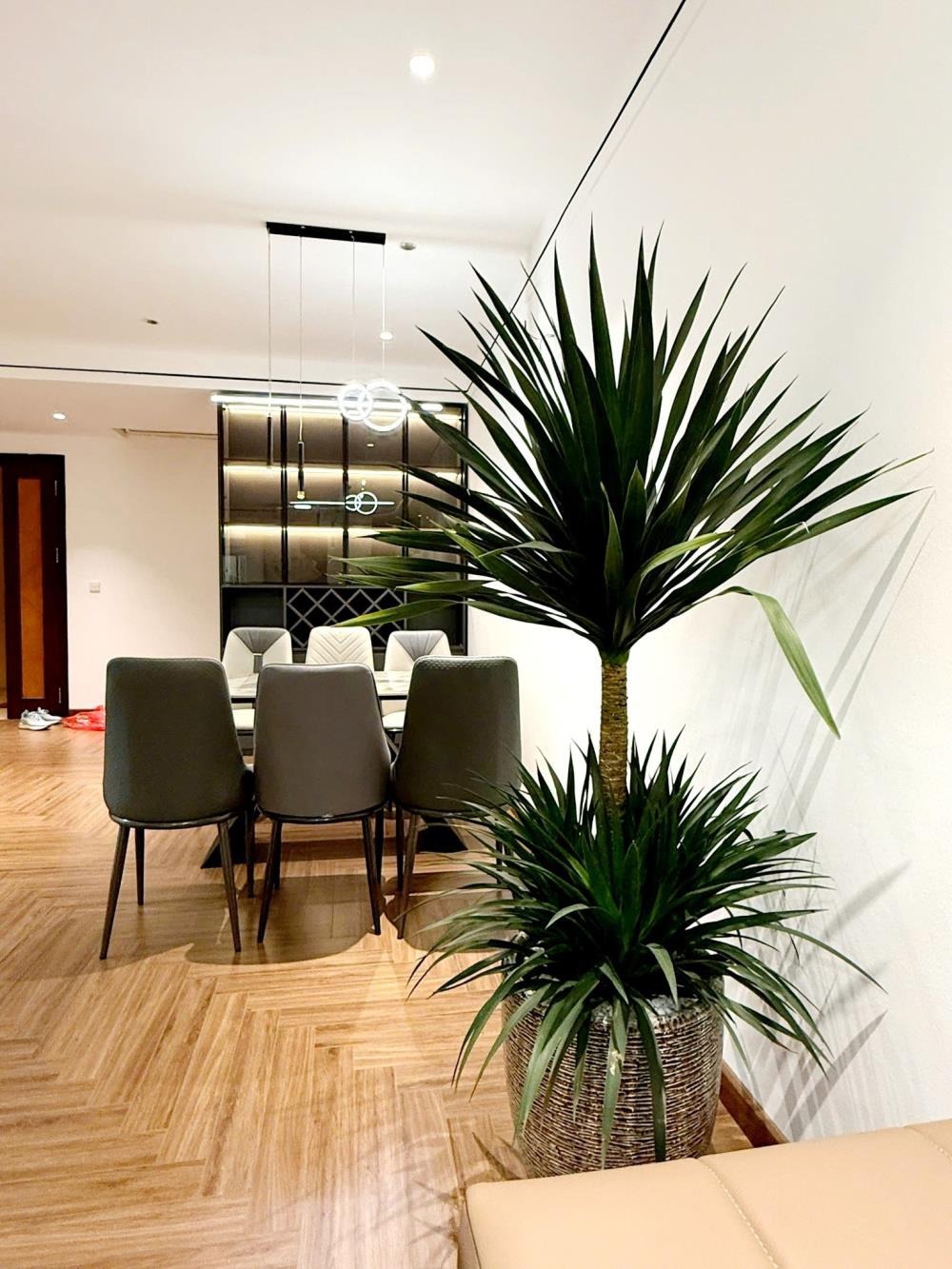 Chung Cư Ciputra Nam Thăng Long: 123m² Full Nội Thất, 8.98 Tỷ - View Đẹp, Tiện Ích Vượt Trội