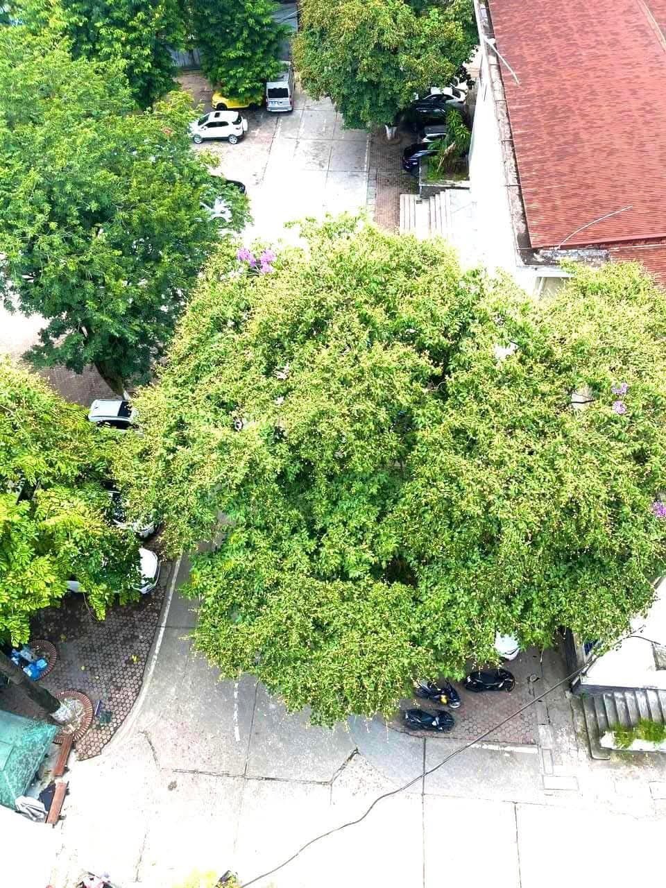 Chung Cư Dịch Vụ Lương Thế Vinh - Thanh Xuân: Đầu Tư Sinh Lợi, Vị Trí Đắc Địa