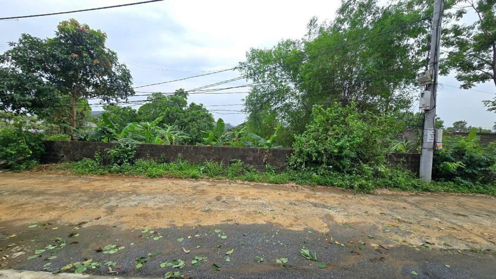 Đất nền vuông vức, tiềm năng sinh lời tại Phú Mãn, Quốc Oai, Hà Nội - 916m2