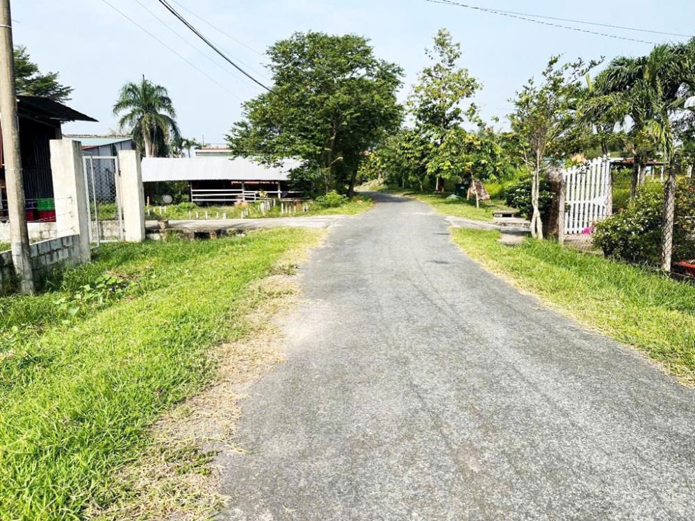 Bán Đất Nền Củ Chi 1145m2 - Nở Hậu, Thổ Cư, Vị Trí Đắc Địa