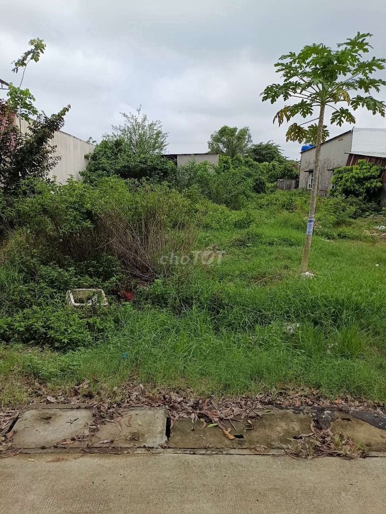 Chính chủ bán đất 150m2 - Vị trí đắc địa, phù hợp kinh doanh nhà trọ, khách sạn
