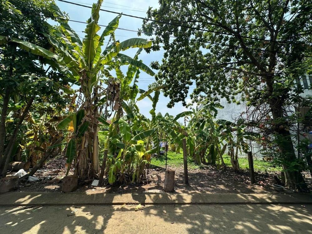 Bán đất Quận 9 - Phường Long Phước - 82.7m2 - Giá 3 tỷ (Thương lượng)
