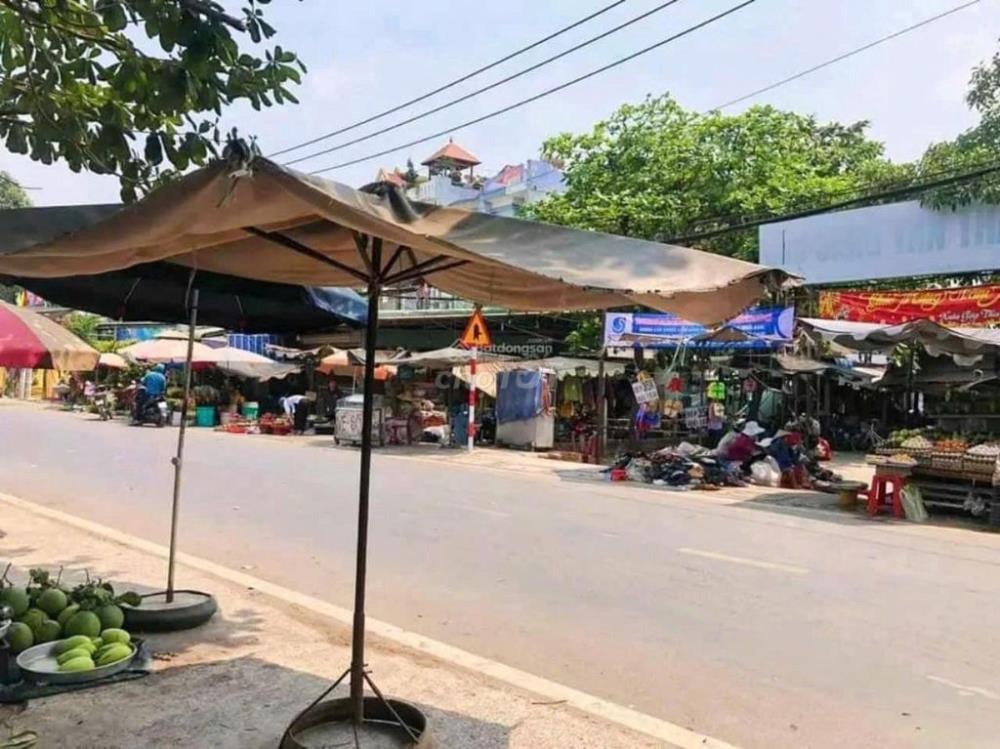 Bán Gấp Đất Nền Vị Trí Đẹp, Mặt Tiền Nhựa 10m, Tân Thông Hội, Củ Chi - Giá Chỉ 1.5 Tỷ