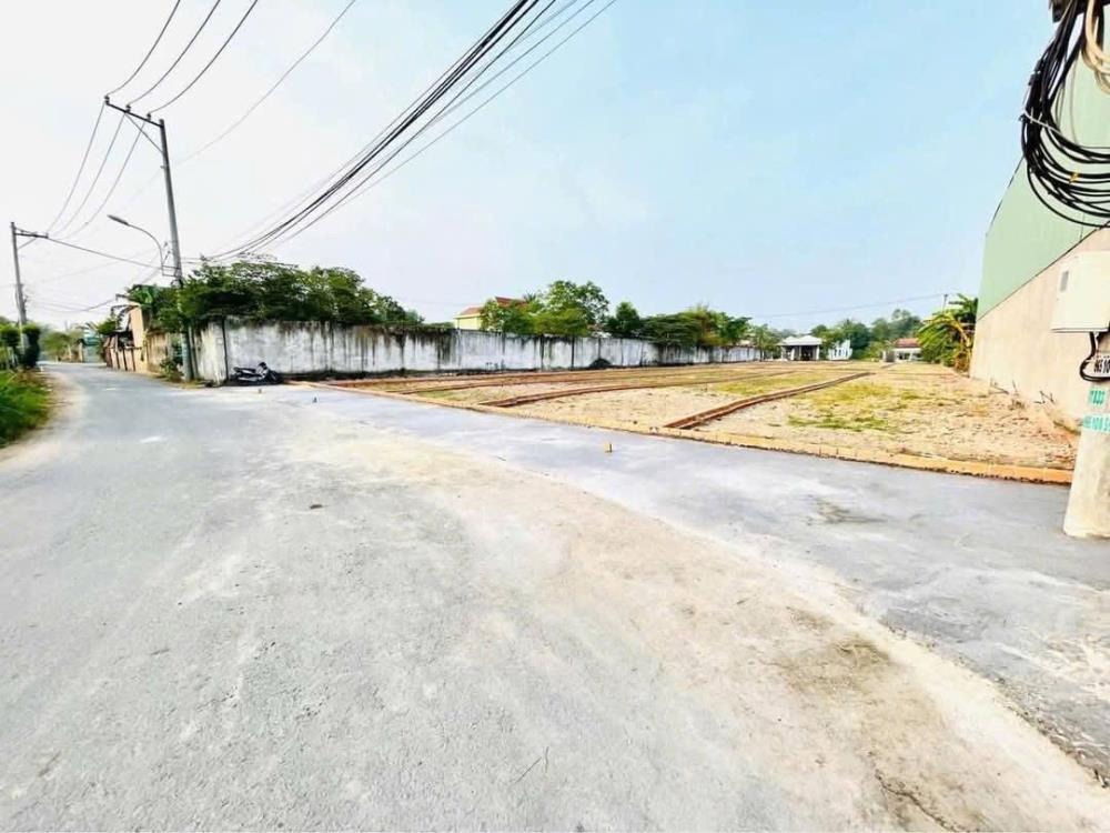 💎 Vị trí Vàng! Đất Mặt Tiền Tân Thông Hội - 80m² - 1.5 Tỷ - Pháp Lý Sạch