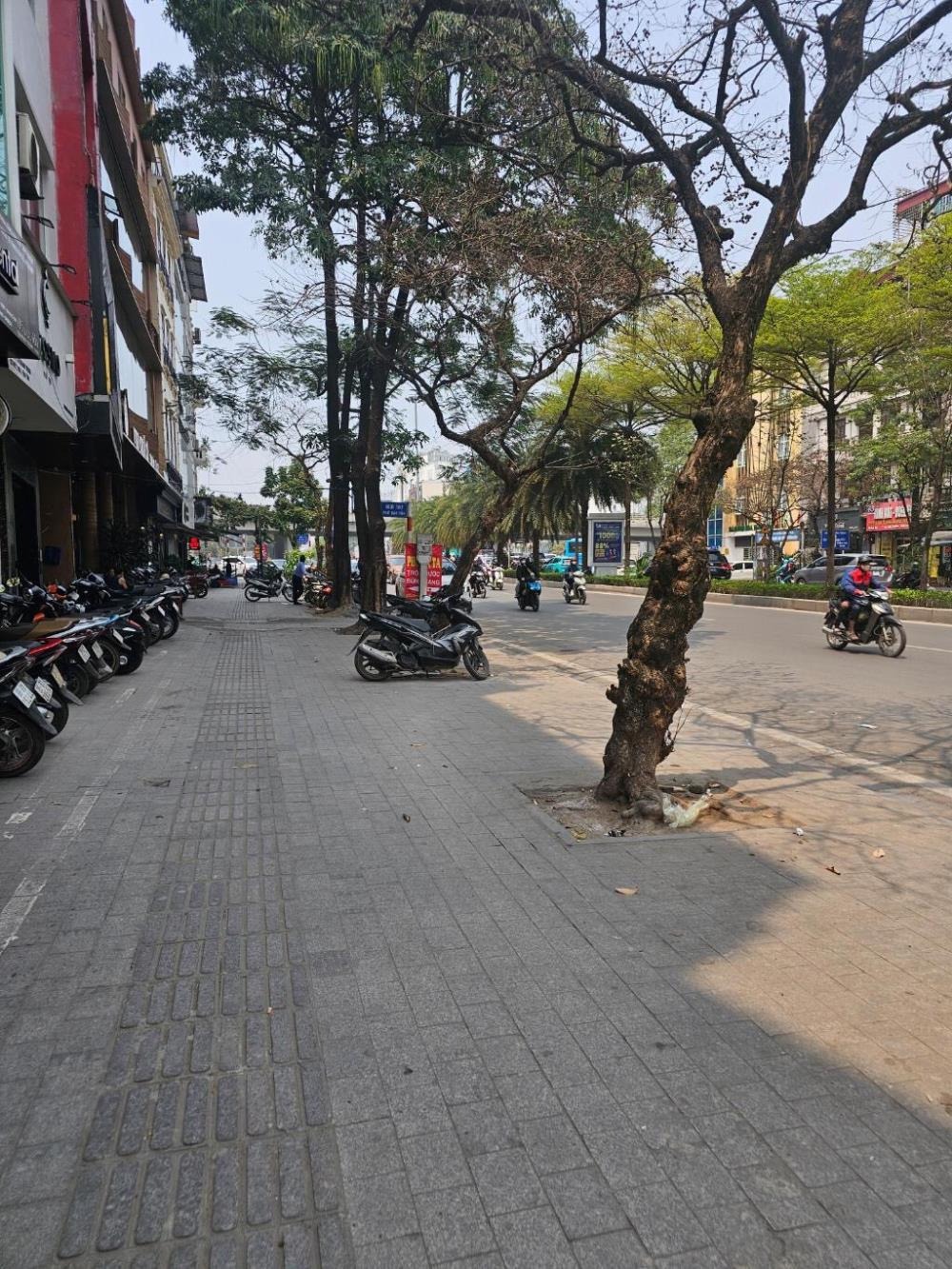 Đẳng Cấp Mặt Phố Ba Đình: Vị Trí Vàng, Tiềm Năng Đầu Tư