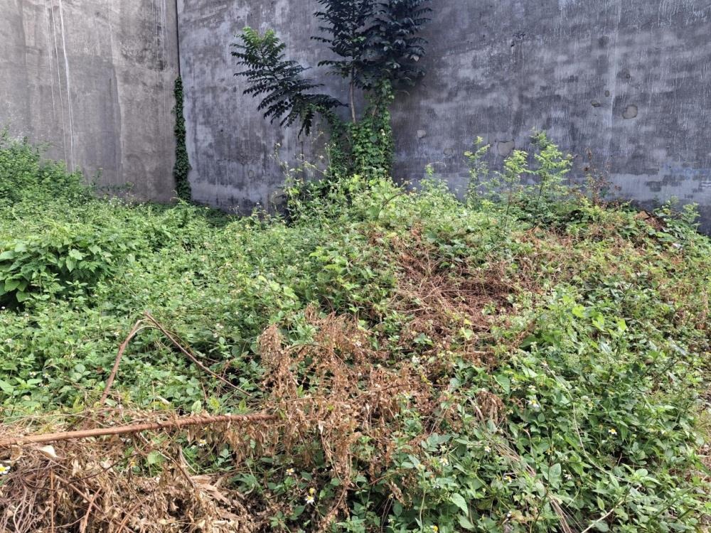 🔥[GIẢM 200TR] Đất HXH Nở Hậu Thạnh Lộc 22, Q12 - 81m² Giá Tốt