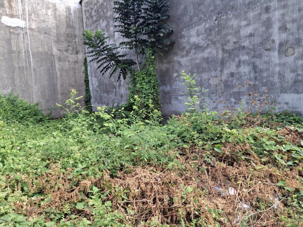 🔥[GIẢM 200TR] Đất HXH Nở Hậu Thạnh Lộc 22, Q12 - 81m² Giá Tốt